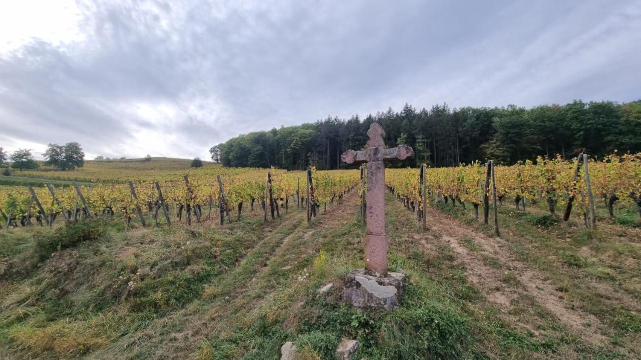 Nid 2 Cigognes Villa Zimmerbach Eksteriør billede